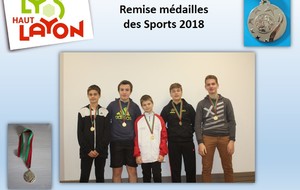 Remise médailles des sports 2018 - Lys Haut Layon